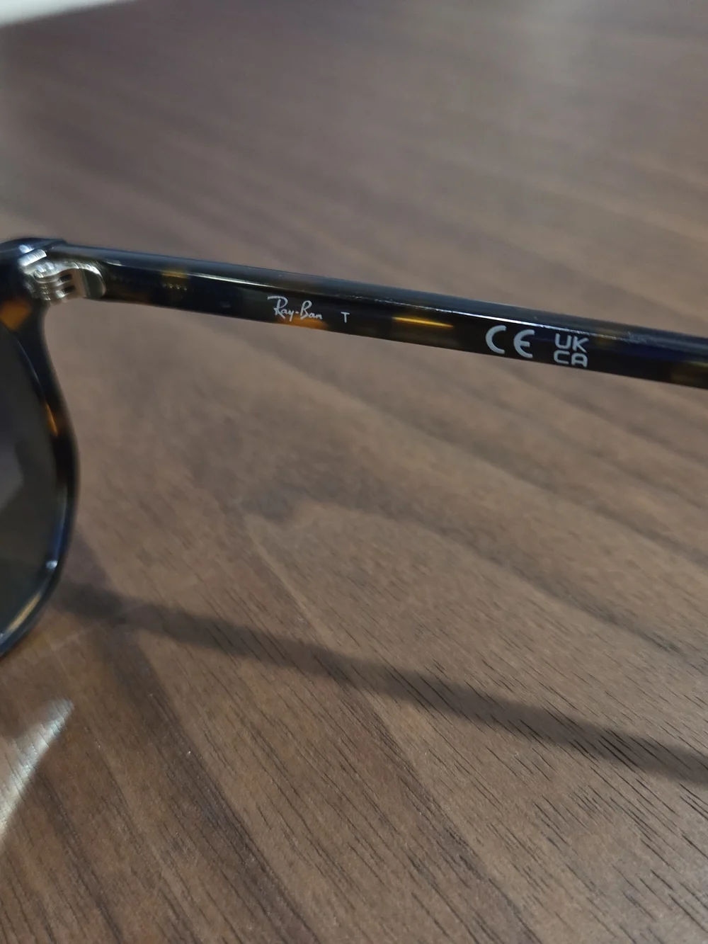 Ray-Ban ELLIOT Sunglasses 🕶️